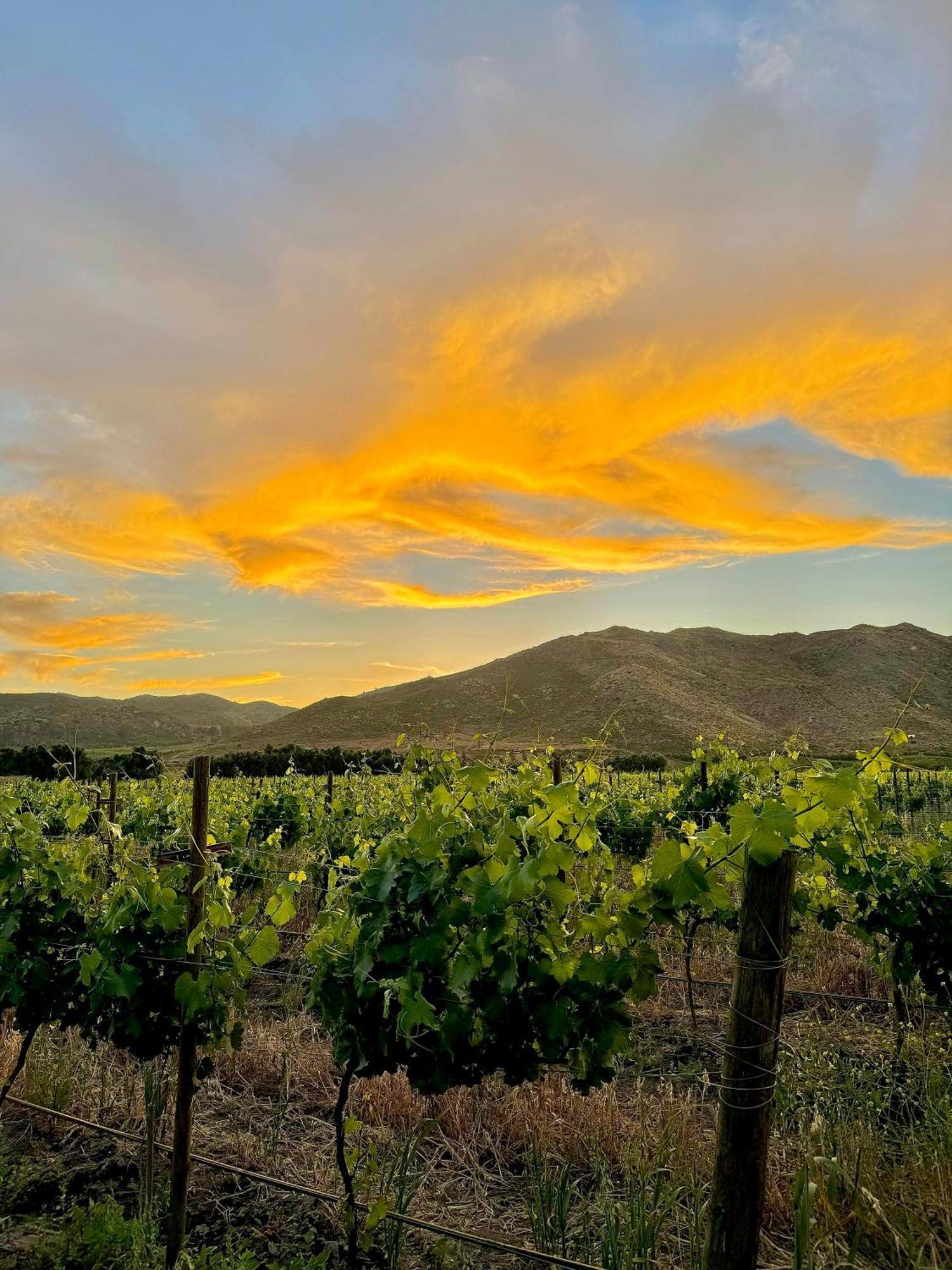 Bruma Wine Resort Valle de Guadalupe Exterior photo